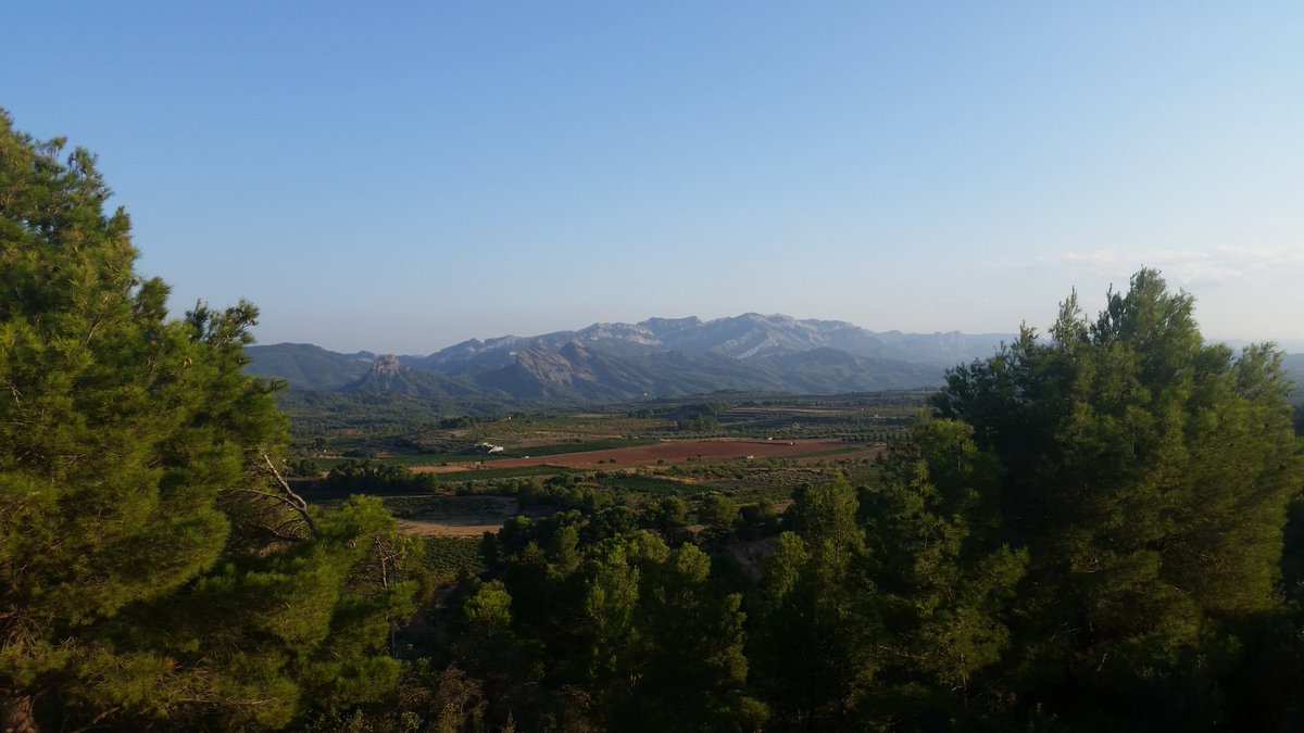 annecathelineau's tweet photo. Absolutely gorgeous winery and THAT view #TerraAlta #HerenciaAltes             #Cataluña #Team trip #Granatxa @BancroftWines @HerenciaAltes https://t.co/uxQFGt2jxG