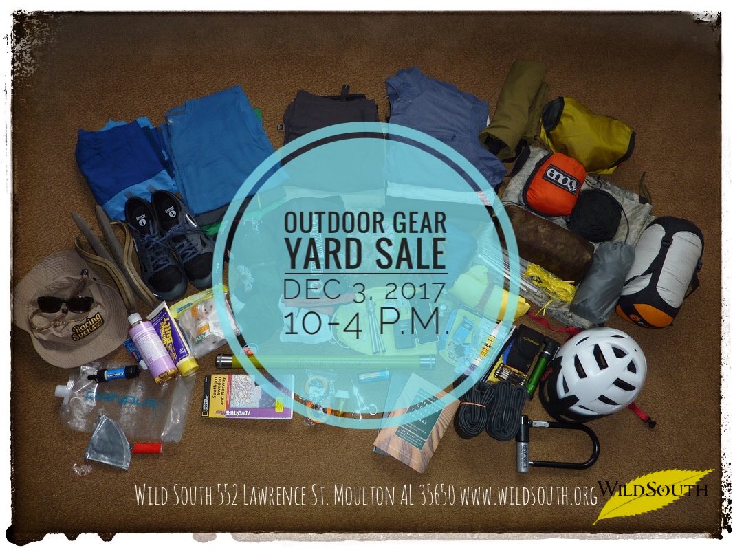 WildSouth's tweet photo. https://t.co/adQUhpsYUI