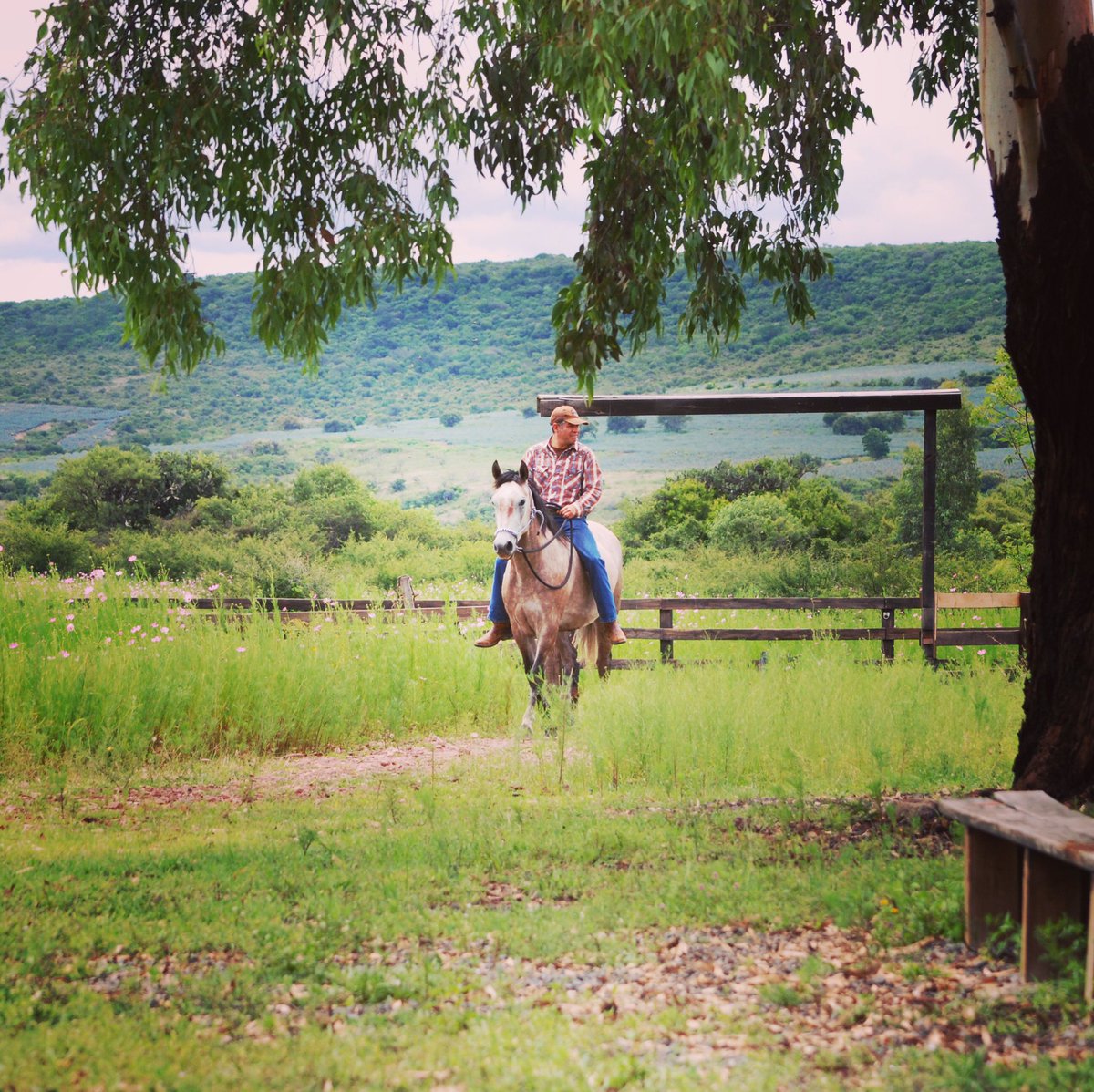 WestPointHats1's tweet photo. #horseriding #cabalgandoando #degorra https://t.co/3TlOxqNF0Z