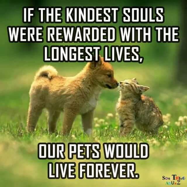 Bailey DaCat tweet media