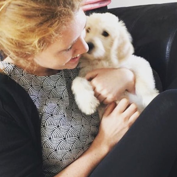 Lighthousebks's tweet photo. World, meet Artemis!!! Arty arrives friday 15th to chew your shoelaces, pee on our floors and sniff out your next great read #bookshopdog https://t.co/k22SloH6Bg