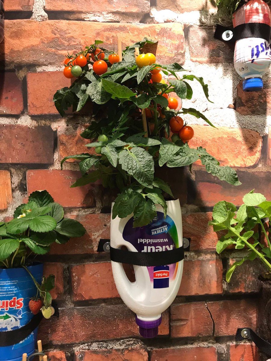 Hoe simpel kan trendy zijn! Onze Pick &amp; Joy plukgroenten ter inspiratie op de spoga+gafa beurs in Keulen. Sparen maar en wees creatief!!