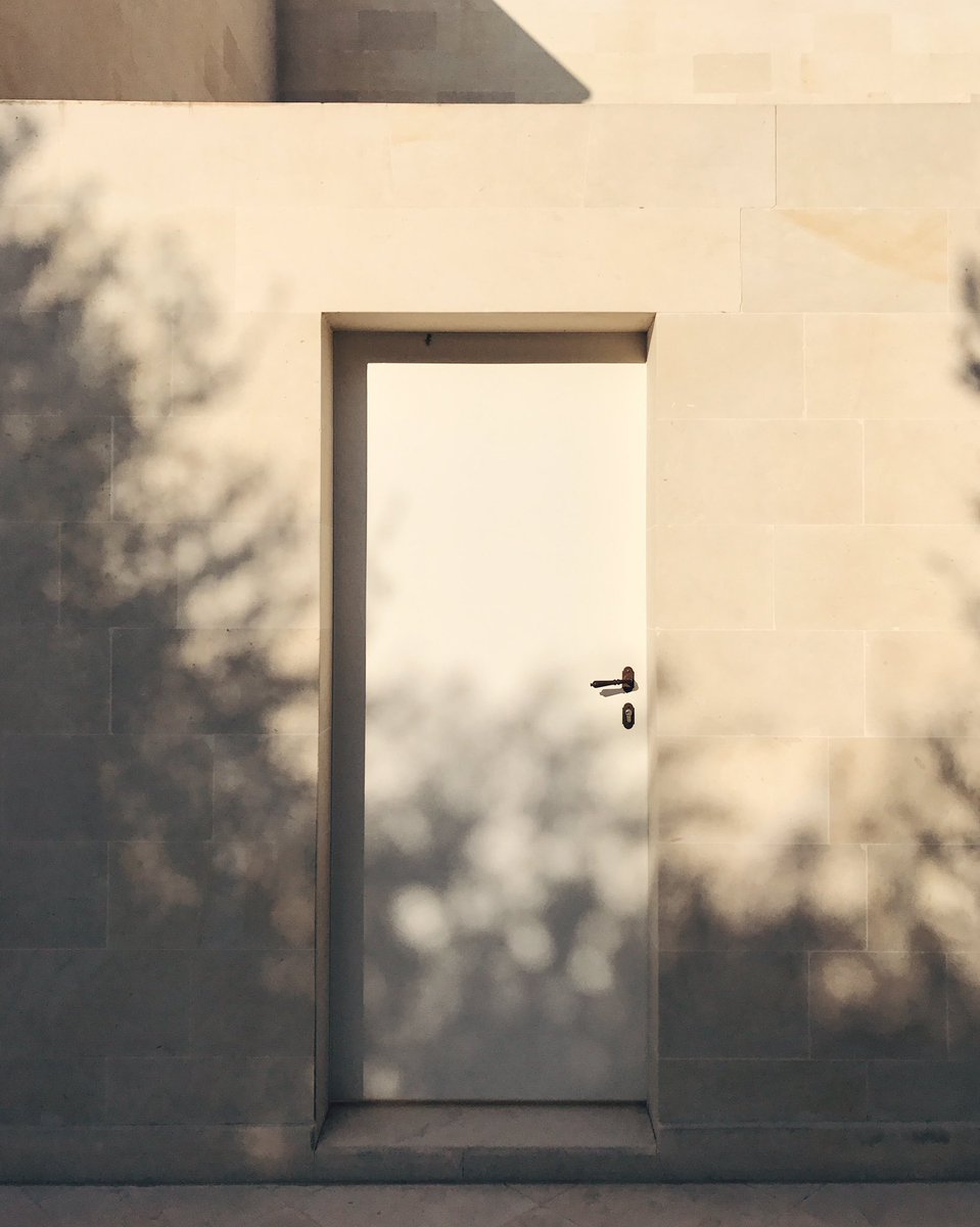 komorebi: a japanese word for 'sunlight that filters through the leaves of trees.'