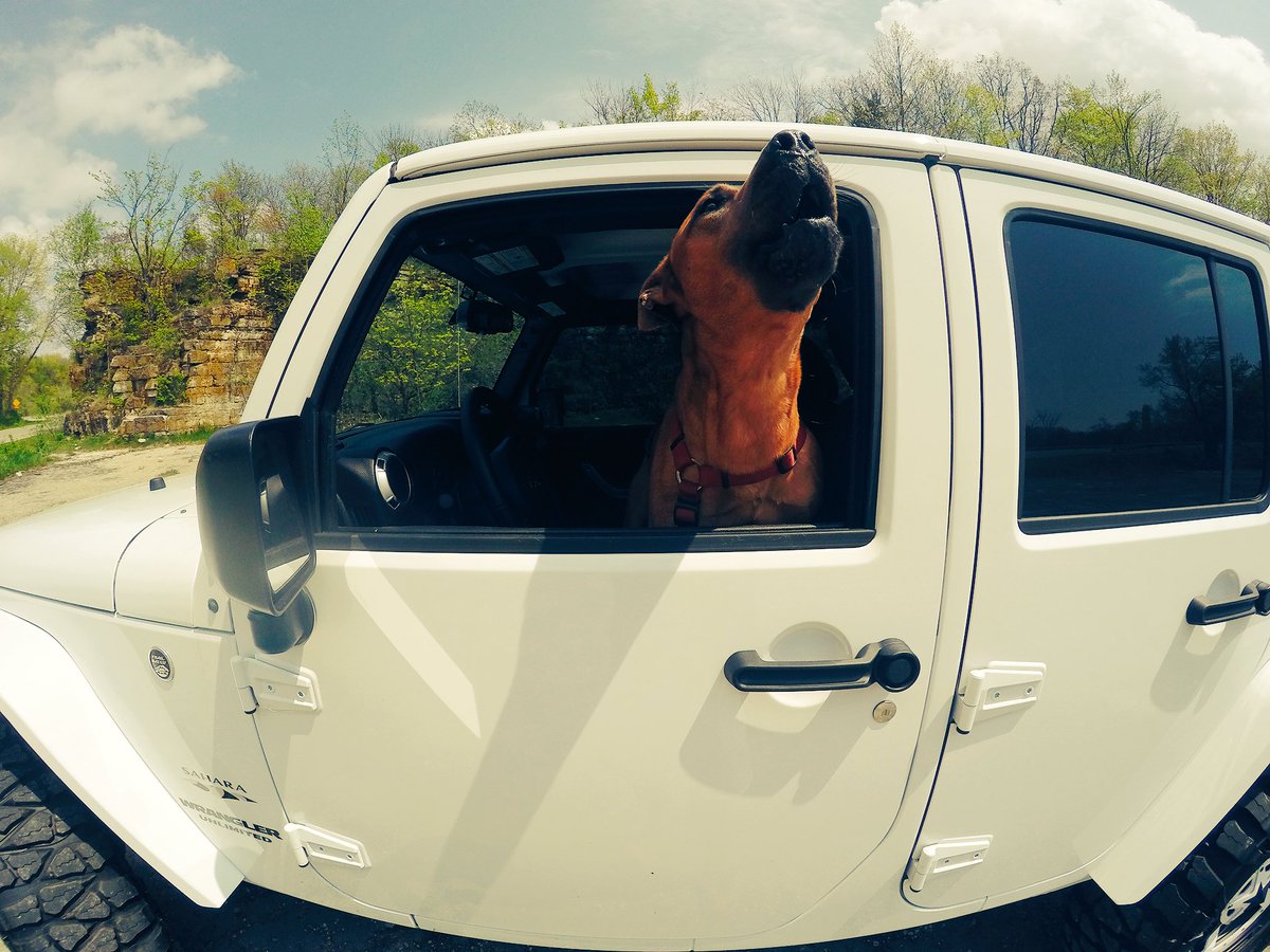 RileyBrice's tweet photo. As a kid, I watched Jurassic Park on VHS every single day.
It's no surprise that 20 years later, I drive a @Jeep and have a pet dinosaur https://t.co/Qjzj5xLhrx
