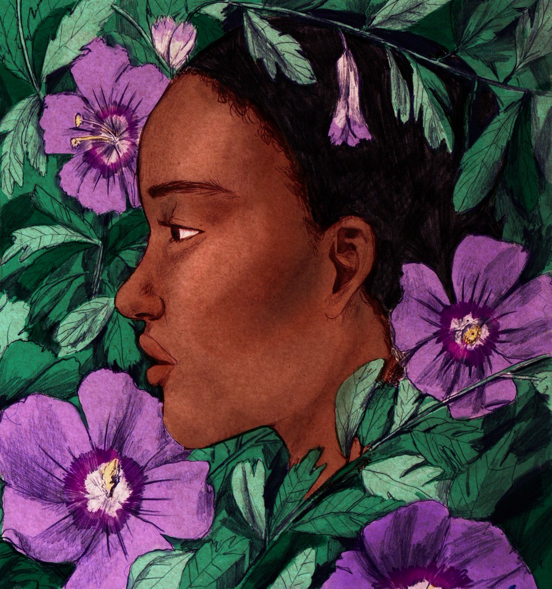 Lizzy Stewart on X: My next book image is for Purple Hibiscus by