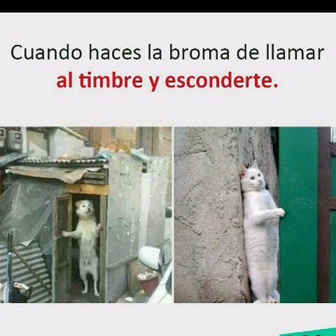 MuchaGuasapp's tweet photo. Resumen de Memes de Tarde,
A reir!! 😝💪#humor #memes
#memesumen #memesdetarde #buenastardes #felizmartes #areirquesondosdias https://t.co/0VsmNtt3j7