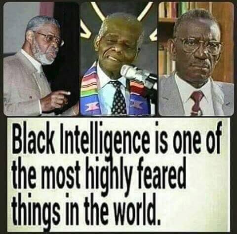BYouth4Truth's tweet photo. Black intelligence is one of the most highly feared things in the world. https://t.co/PdrsxTS198