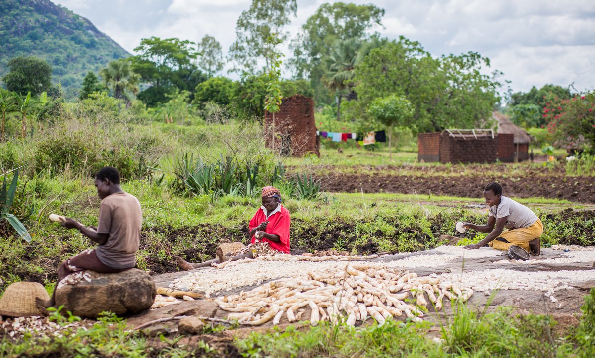 gatesfoundation's tweet photo. We believe that all lives have equal value. Transforming #agriculture will transform lives. #AGRF2017 https://t.co/mphv2XnTkk