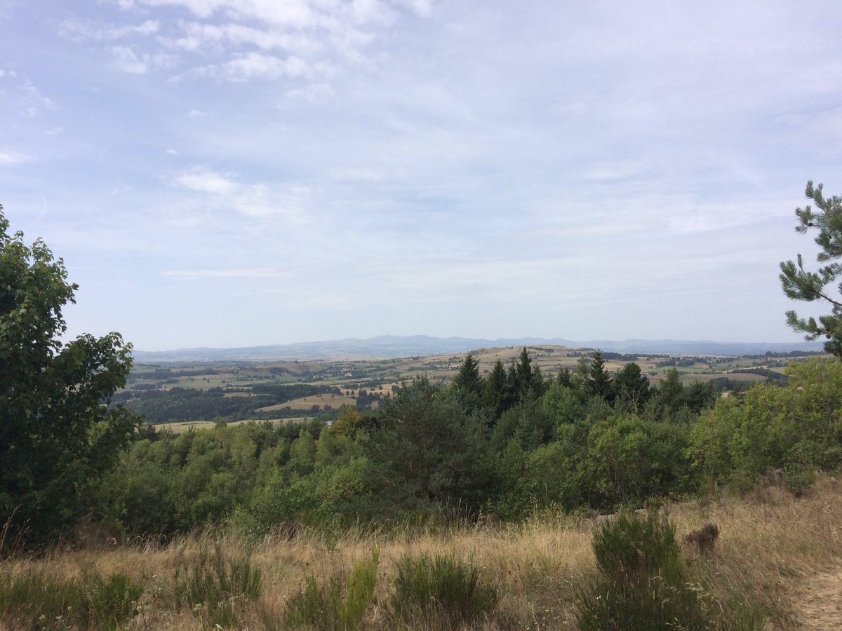 chenisemeiling's tweet photo. Motorway views 😊 #TravelTuesday #ScenicDrive #scenery #France https://t.co/f3j1VUhp2L
