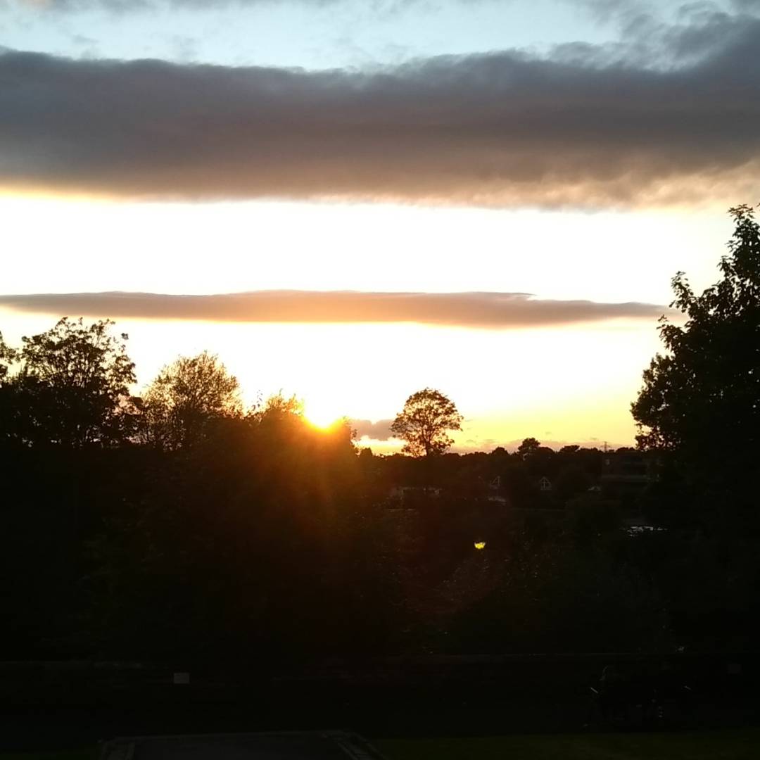 With Me Baby tweet media