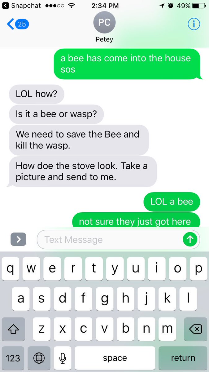 _sunburstkitten's tweet image. peter chang: saviour of the bees