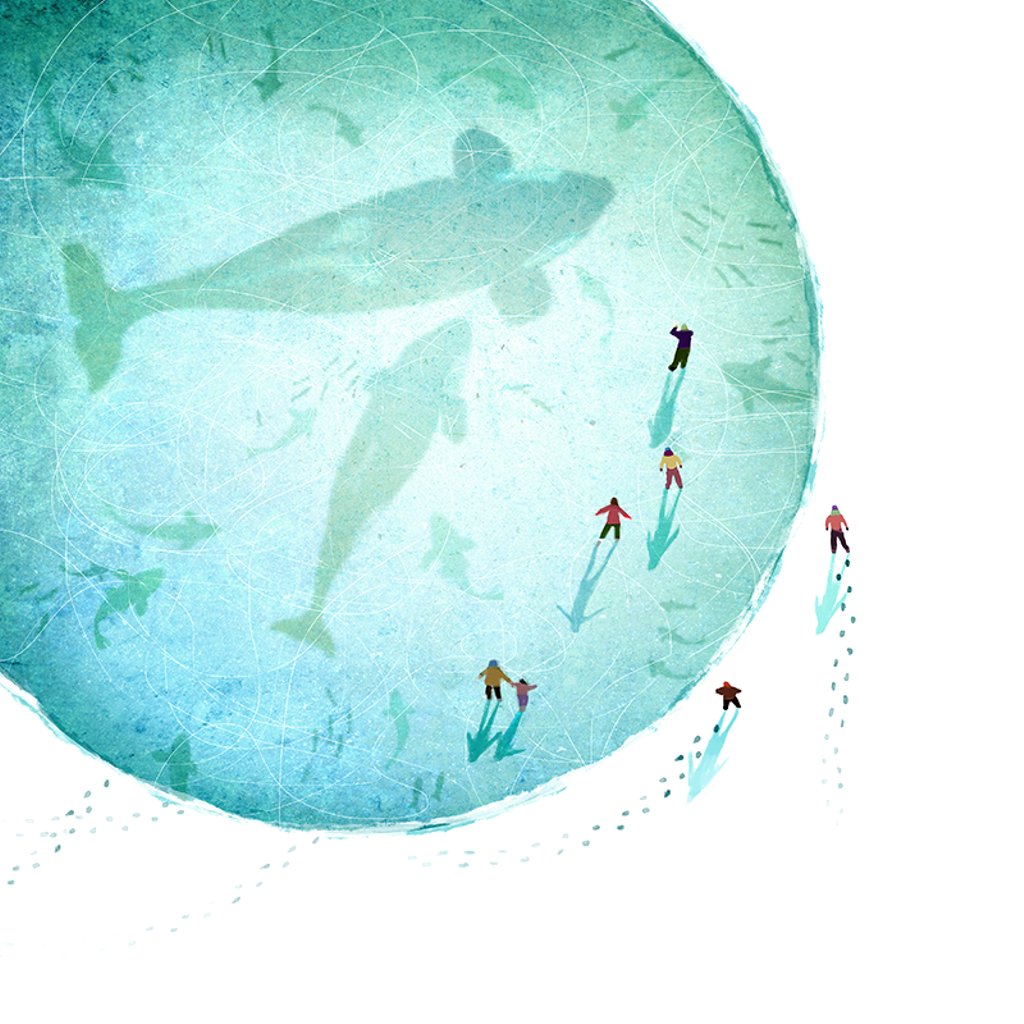 Orcas under the idea...
Ice Aquarium pics I'm working on
#digitalart #digitalpainting #Illustration #digitalillustration #whales #orca