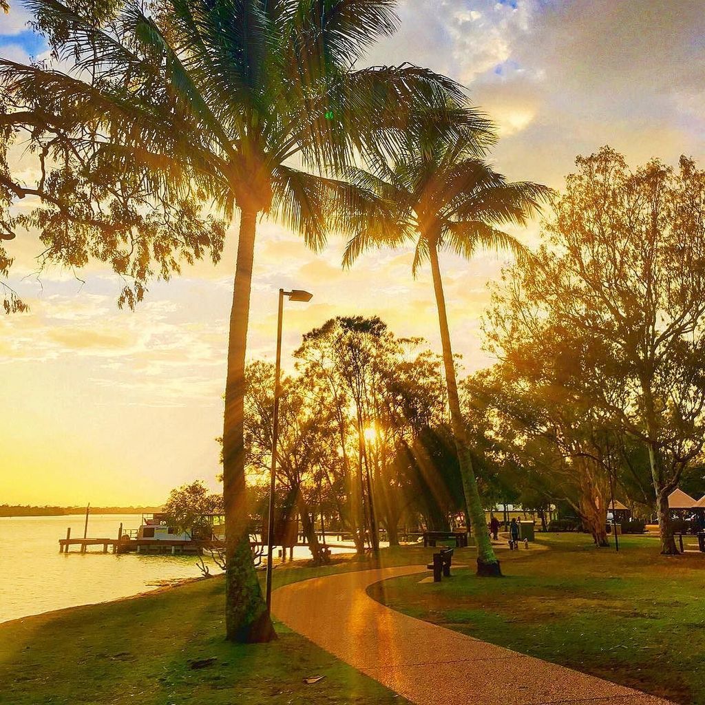 frysteen's tweet photo. Not a bad way to start the day. Good morning #Noosa.
--------------
#visitnoosa
#relaxationcapital
#visitsunshinec… https://t.co/5JTdyG73d7 https://t.co/WdzJKoDf64