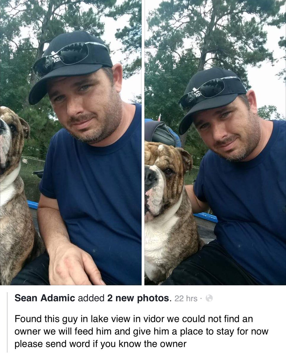 Nantzee's tweet photo. #HurricaneHarvey #founddog #Vidor #Texas https://t.co/FL9Sc9XdWj