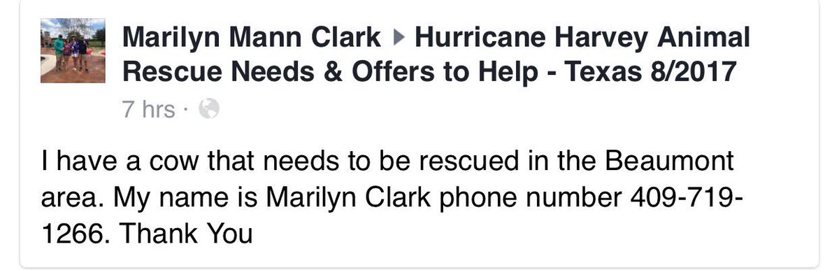 Nantzee's tweet photo. #HurricaneHarvey #livestock #Rescue needed! #Beaumont #Texas https://t.co/9NZacZMPha