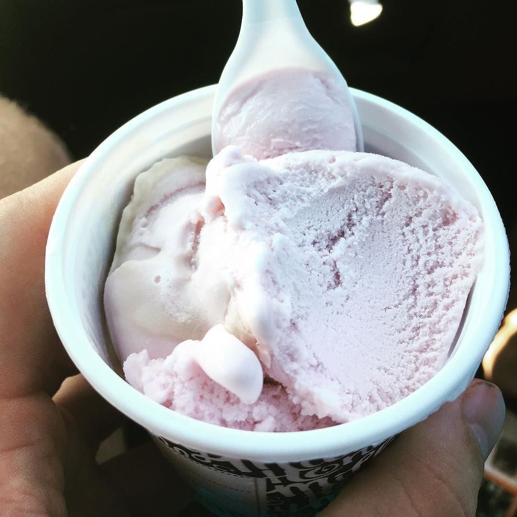 ijohnson86's tweet photo. Gelato study break with @mister_chris47. Purple Cow and Coffee &amp; Cream flavours! https://t.co/KpZn3cAQg3 https://t.co/SFhe27sggt