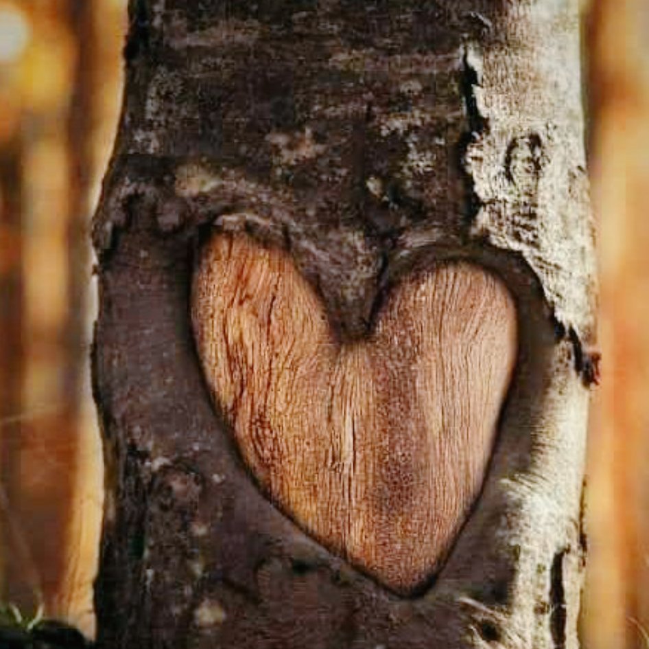 "SENİ bekleyişimin
   Adı yok...
             sadece,

        Yüreğimde Lâl olmuş
duâmsın...

                    💟 HZ. MEVLANA💟