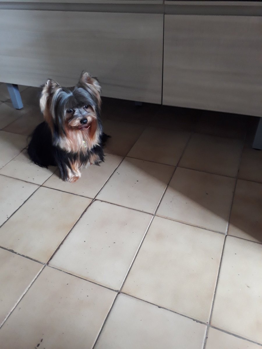 Nino o meu lindão!