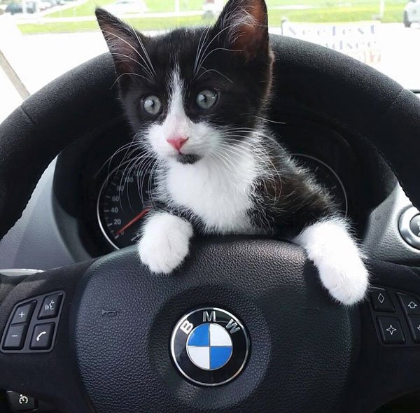 Moss Bmw Mossmotorsbmw Twitter