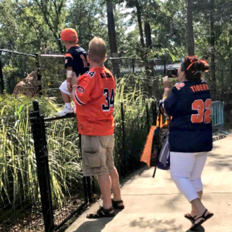 ALostrich's tweet photo. I'm guessing these people at the Birmingham Zoo have never heard of Harambe. https://t.co/9XxADK2AsJ
