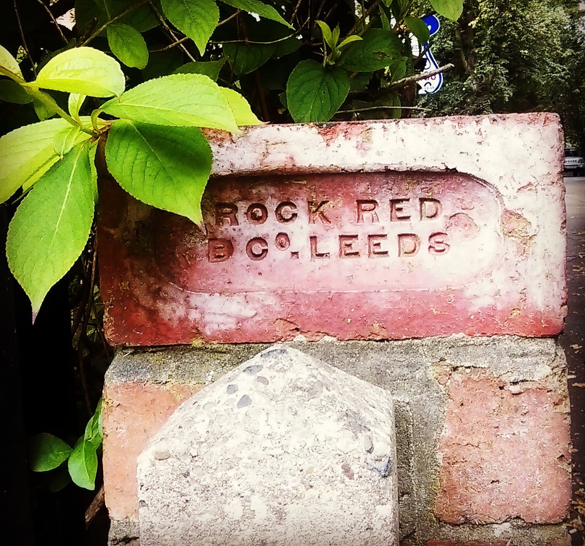 typesettingls's tweet photo. A beautiful Leeds' brick from the Rock Red Brick Co. nestles amongst the greenery. This beats bird spotting #brickspotting #typesettingls https://t.co/tQOukFxWVg