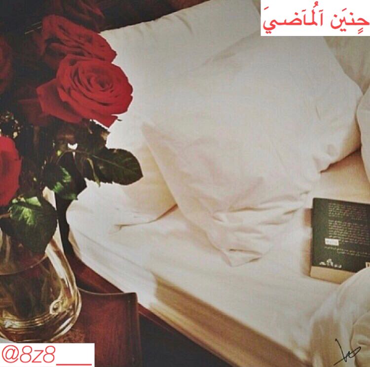 8z8___'s tweet photo. #مستحيل_انساك_لمن_تقولها

وعلَى سبيِل نسيانكَ لآ شَيءّ يُقال إلا انَني 
احببتـكَ غياباً وبُعداً ونبضاً يجهل المسَافات .! https://t.co/64oXzx8kZL