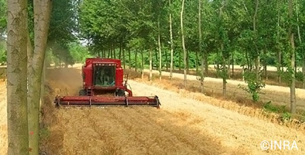 eloagri's tweet photo. Innovez dans la gestion des parcelles et essayez la technique de @Agroforesterie.
https://t.co/vfVoYWXO5k https://t.co/F9cOWUX8R7