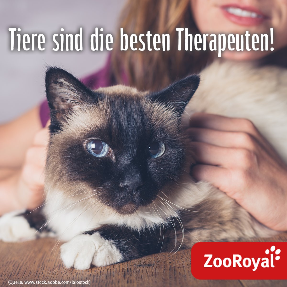 zooroyal's tweet photo. Wer von euch kann seinem Vierbeiner auch alles erzählen? 😍 #Tierliebe https://t.co/Oemv9PwGmK