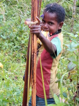 Chris Imray tweet media