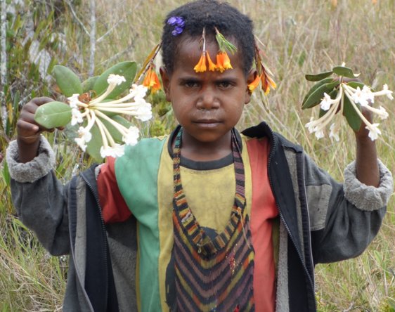 Chris Imray tweet media