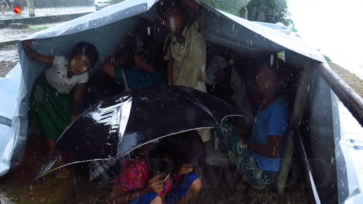 #Bangali  Islamic Terrorists burned down native people's homes &amp; villages, many natives fled to ground and live badly in Rakhine, #Myanmar.