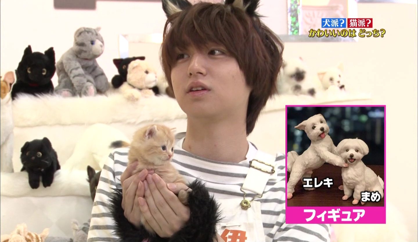 メアリー His Reactions Of Defeat But Wait Please Look At How He Holds The Cat On The Last 2 Pictures Ahh Precious 伊野尾慧 Inookei 伊ニャー慧 T Co Bhgub8ueku Twitter