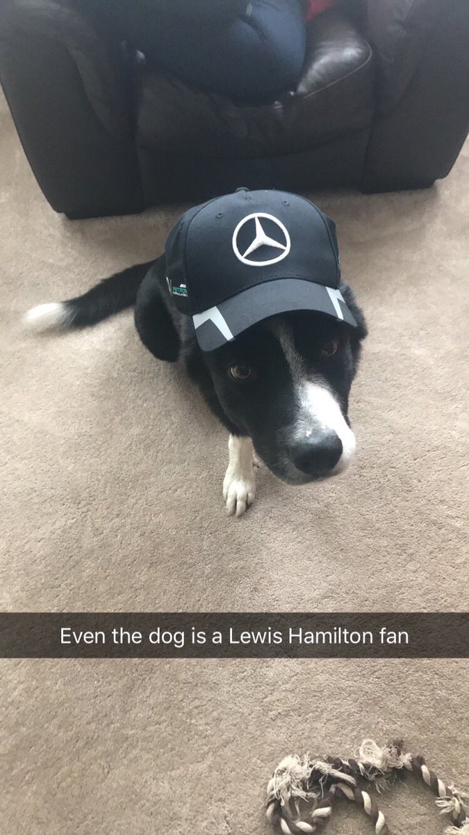 warren_66's tweet photo. @LewisHamilton @MercedesAMGF1 https://t.co/nga91mc2sH