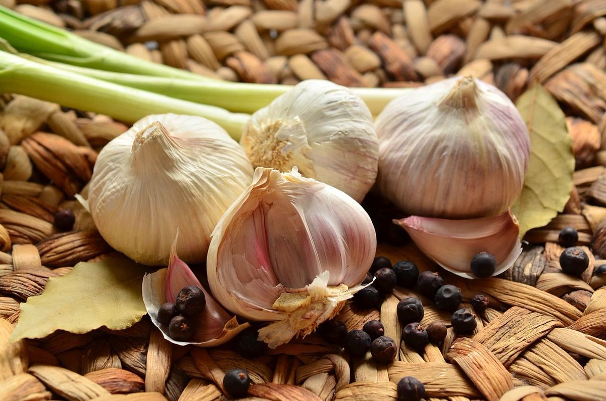 DrKristieLeong's tweet photo. Study showed aged #garlic extract lowered #bloodpressure as effectively as the drug Atenolol after 6 months. https://t.co/oFGyuf43jH
