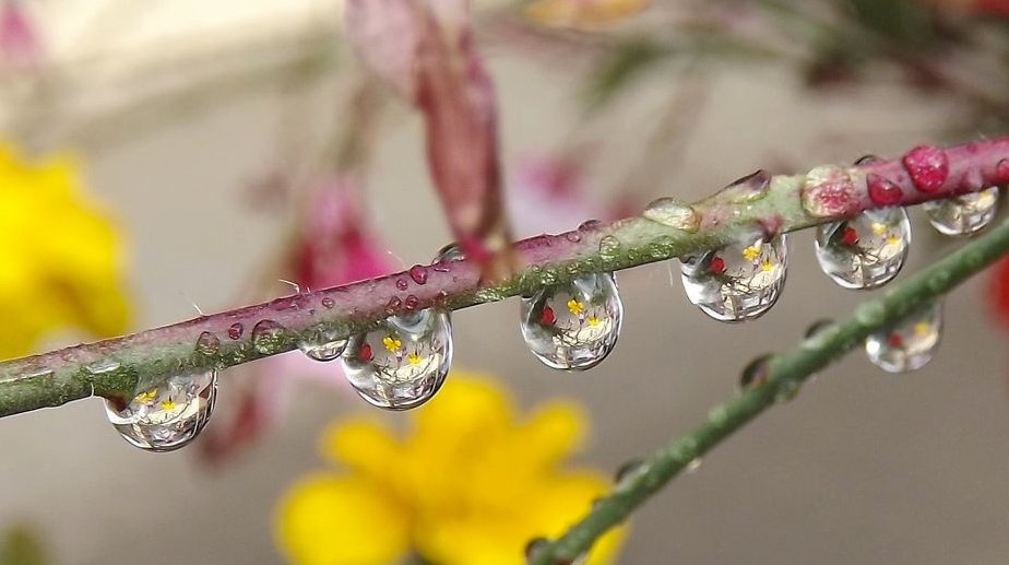 viewbug's tweet photo. Win G-Technology Drive! Enter your Macro Water Drop shots here!
https://t.co/2GO4Bfco7p
Photo By ViewBug Member: MossyRockStudio https://t.co/6Tyb81r4YU