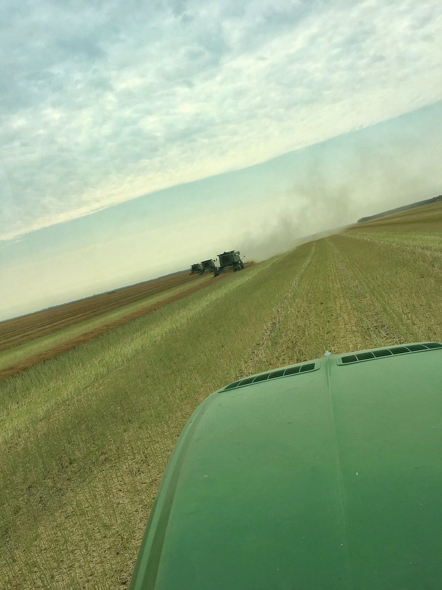 Kicking up some dust up on this fine Sunday #canola17