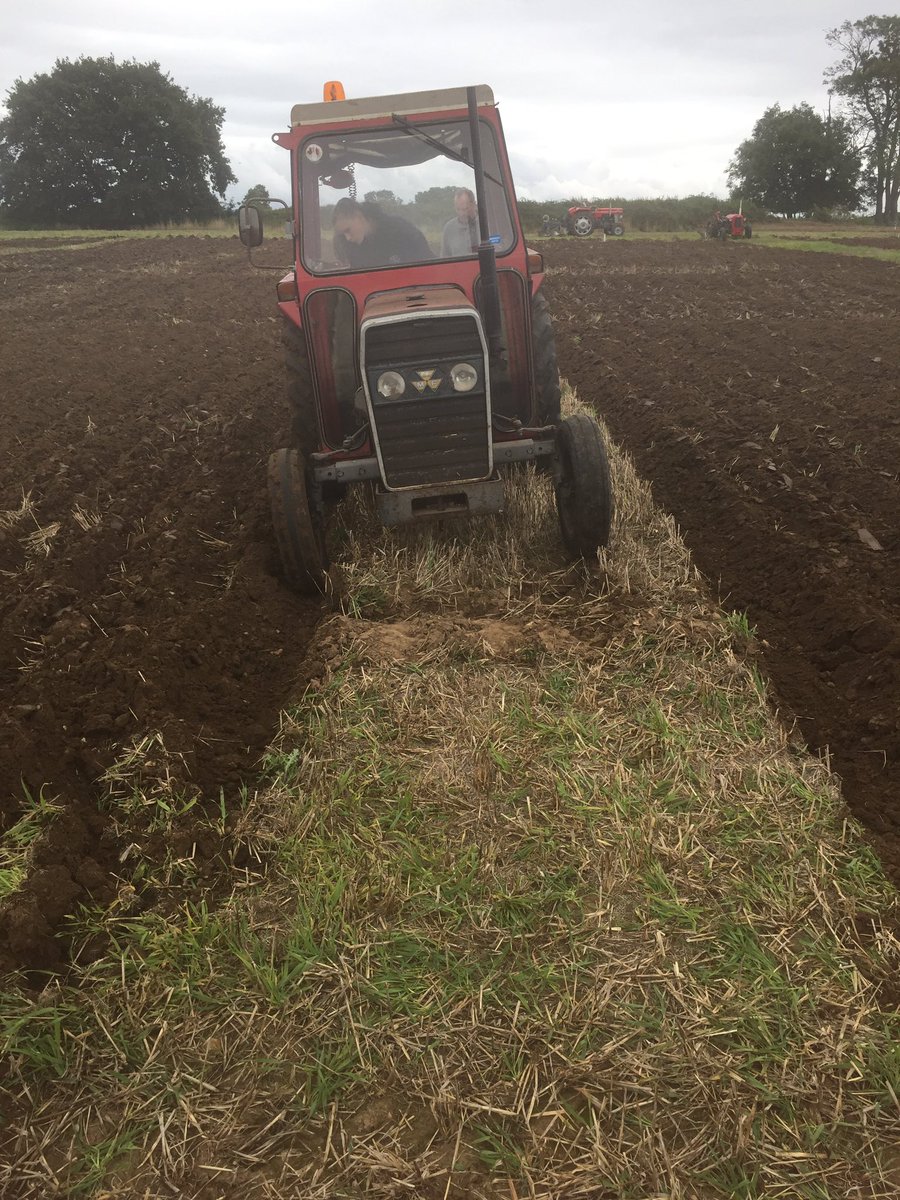 MandyBye18's tweet photo. @antanddec @WoodynFriends Hope you had fun Woody with your cousin Rocky, you both missed a great ploughing match @wewdahs #Ag&amp;Hort #tractorgirl#thisgirlcan#keavybye18 https://t.co/7Gy6ICClEC