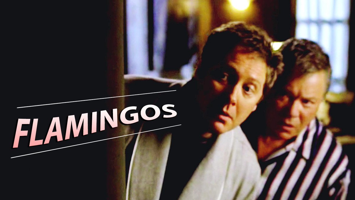 ariane_araujo2's tweet photo. Denny Crane, Alan Shore flamingos! Don't ask, don't tell. #BostonLegal #JamesSpader #WillianShatner @Stalker_save @JS_1974_ https://t.co/5kEETqhsCd