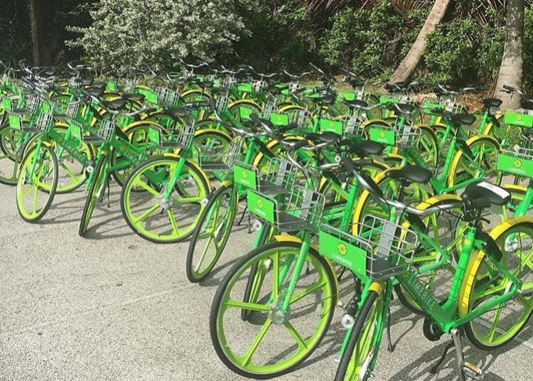 lime bikes key biscayne