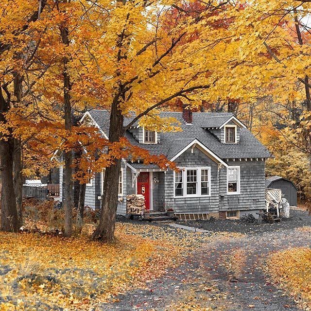 FOLKmagazine's tweet photo. lilacremes:

  Happy Halloween! #alwaysroaming @mblockkl https://t.co/LuXxwIyyu1