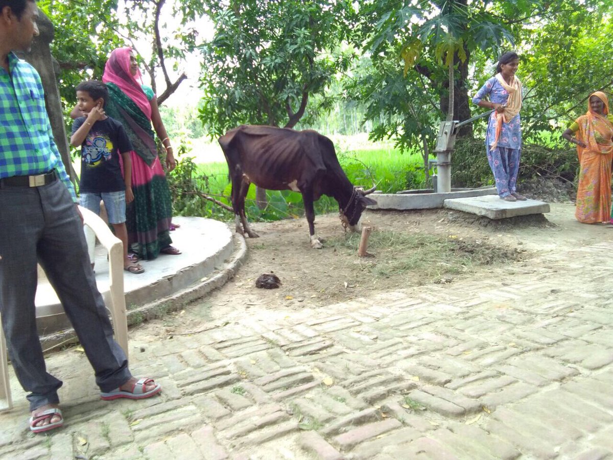 लाखों रुपए देने पर भी कोई ऐसा ख़तरा नहीं लेगा।लेकिन रितेश मानवता के लिए   जान पर खेल गए और गाय को सुरक्षित निकाल लिया।<a href="/Uppolice/">UP POLICE</a> <a href="/upcoprahul/">RAHUL SRIVASTAV</a>