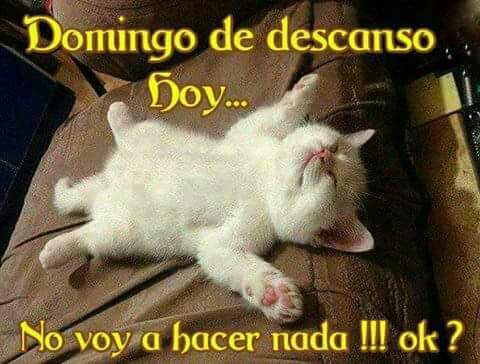 InesCiro's tweet photo. https://t.co/fvpq8QSF7b