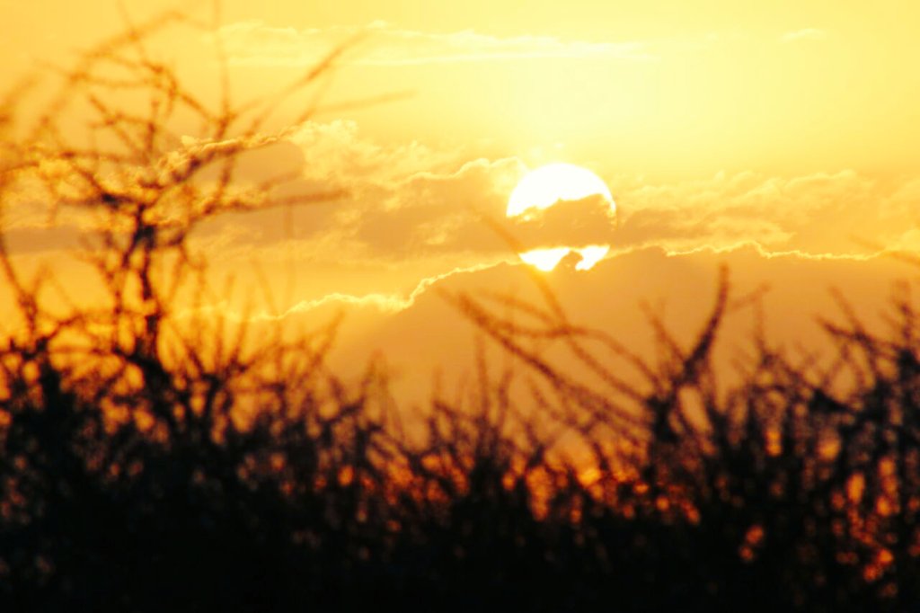 غروب الشمس في ولاية صحم مساء اليوم
تصوير ..العضو .محمد المزيني
