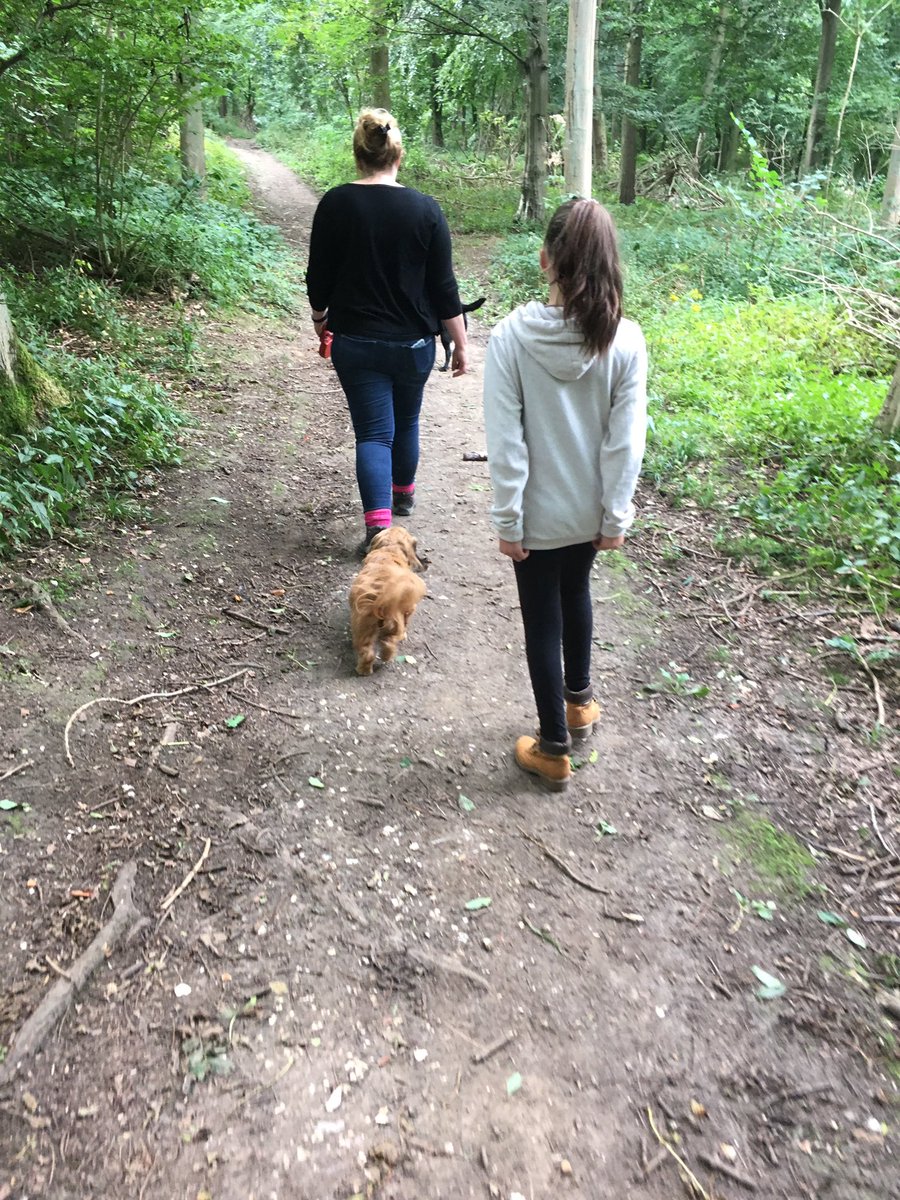 rams25's tweet image. Nice 5mile walk round raywell with @Ladysleight, Ava, peppa and willow 🐶