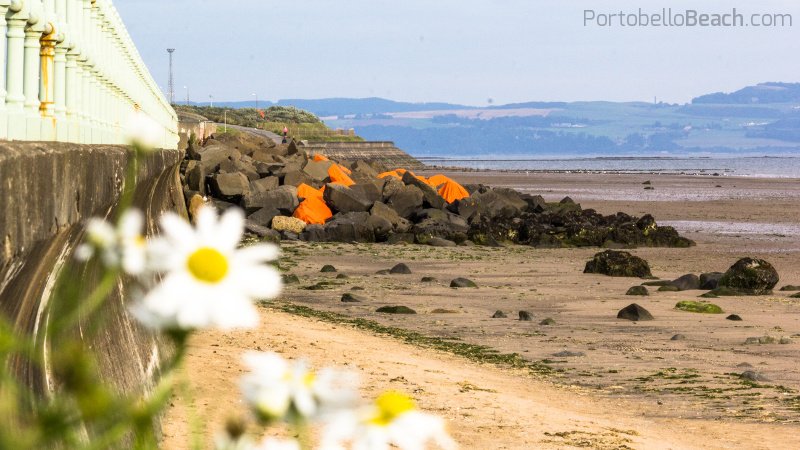 porty_edinburgh's tweet photo. "Edgelands" (?) by @JennyPope19 for @artwalkporty 
#PortyArtWalk #Portyart #Porty #Portobello #Edinburgh #Scotland #StreetArt #beachlife https://t.co/eJM66JL7SD