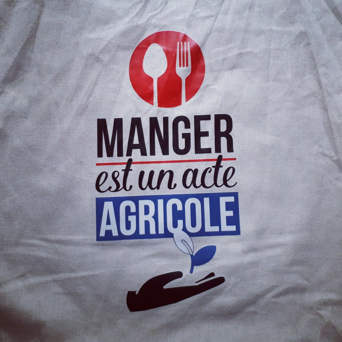 Bertrand Manterola tweet media