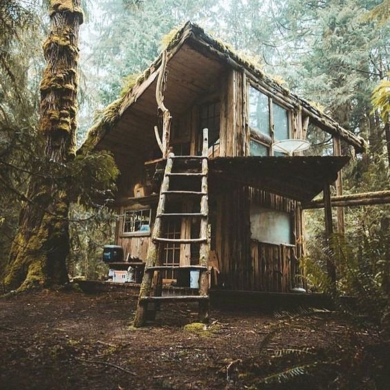 offthegridcabin's tweet photo. Nice place. https://t.co/s1Fc5nd8Ng