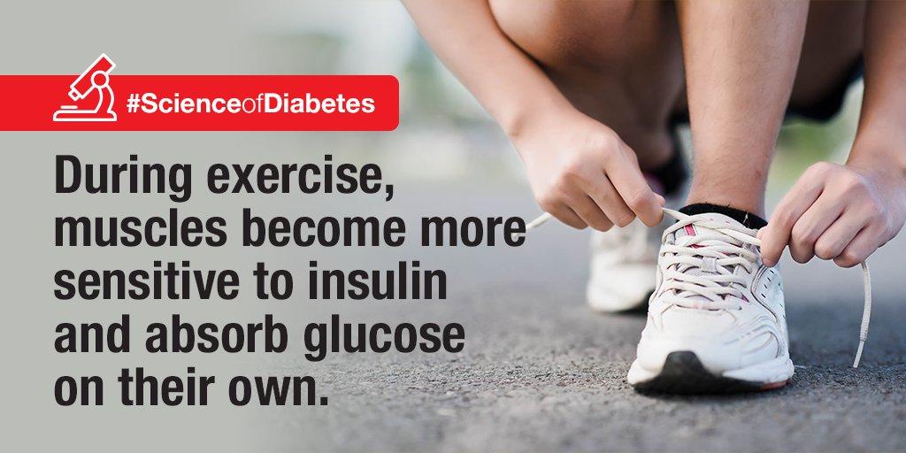 FreeStyleDiabet's tweet photo. The short-term effects of exercise can last anywhere from two hours to three days! #scienceofdiabetes https://t.co/gfUbpRMOtN