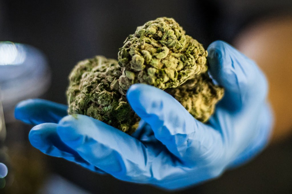 HIGH_TIMES_Mag's tweet photo. Clean Meds. All Oregon Pot Must Now Be Tested For Pesticides. https://t.co/sVrufeXXQj https://t.co/WLFRn3DNfN