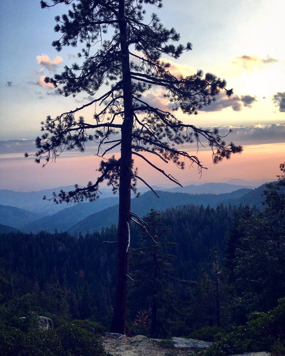 TheAutry's tweet photo. Some road trip inspiration from @SequoiaKingsNPS. Where are you headed this long weekend? π²#CAcontinued #LaborDayWeekend https://t.co/WvUxEo0mfm